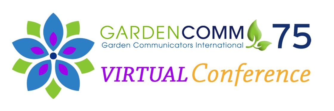 2023-Virtual-Conf-Logo_1200