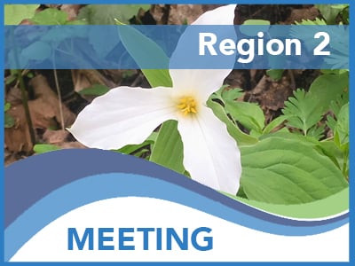 MEETING-R2WildeFlower_Banner