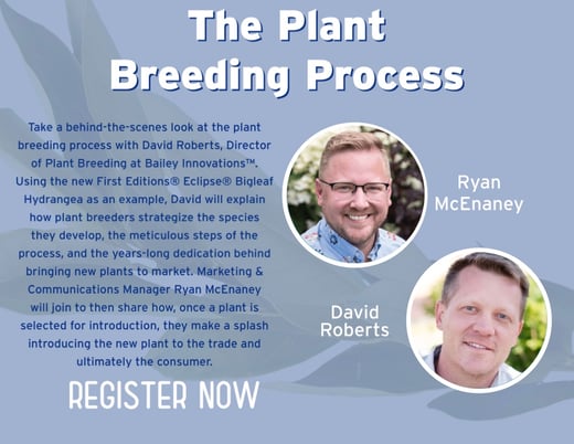 Plant breeding